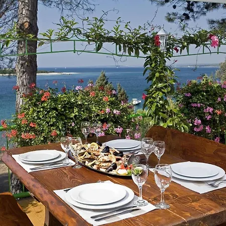 Kamp alanı Camping Adria Mobile Homes In Brioni Sunny Camping