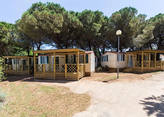 Campsite Camping Adria Mobile Homes In Brioni Sunny Camping 2*